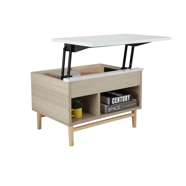 Enrico Storage Coffee Table - 17