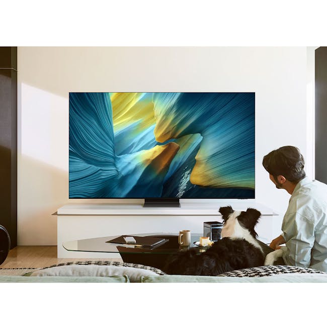 65" OLED S95F 4K Samsung Vision AI Smart TV (2025) - 2