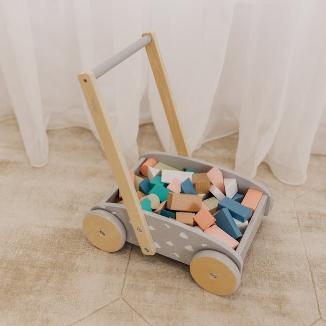 Bubble Wooden Baby Push Cart with 45 Buiding Blocks - 1