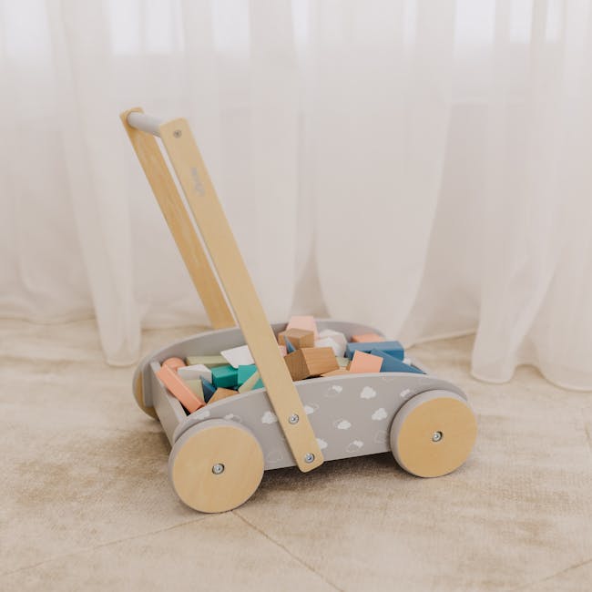 Bubble Wooden Baby Push Cart with 45 Buiding Blocks - 5 - Soft, cushioned play gym, wooden toy cart, colorful blocks