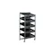 TOYOGO 10 Tier Twin Shoe Rack with 2 Wheels