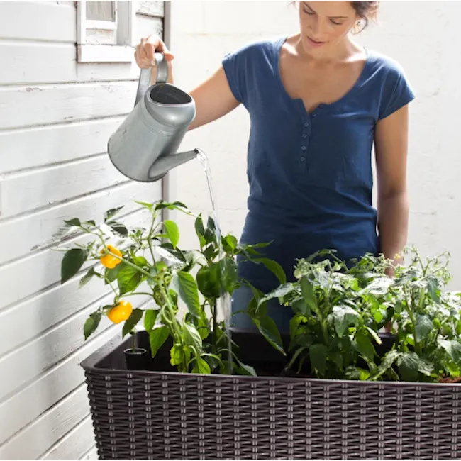 Easy Grow Planter - Wood Brown - 4 - woman watering plants, sunny day, green plants, yellow flowers, tomato plant, gardening
