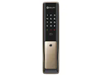 Solity Push Pull Door Lock GP-6000BKF - Champagne Gold