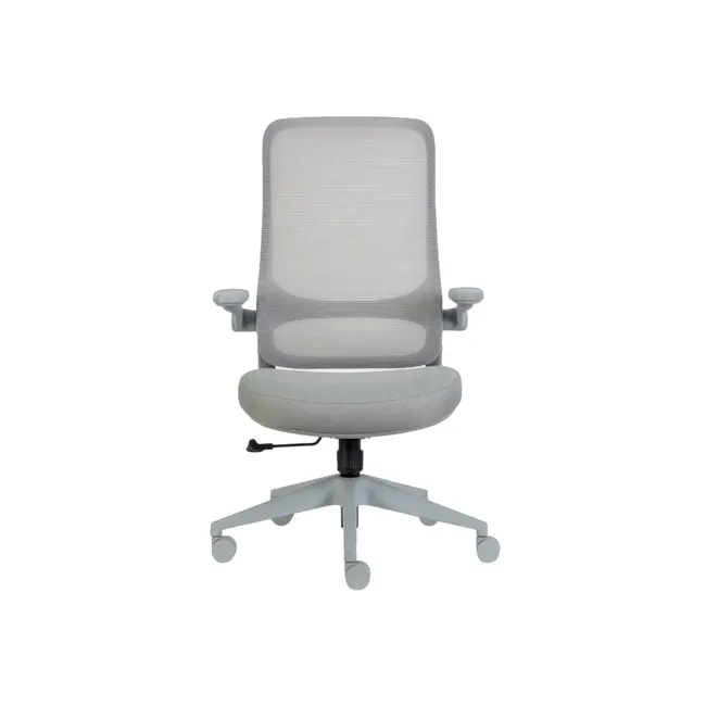 Aurix Office Chair - Grey - 1