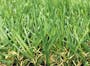 Meadow Grass Carpet - 2