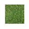 Lawn Grass Carpet - 0