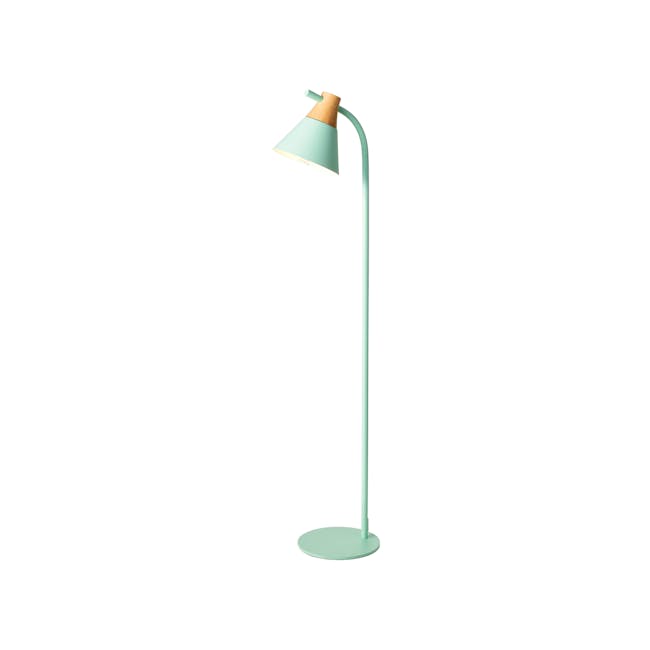 Thora Floor Lamp - Mint Green - 0