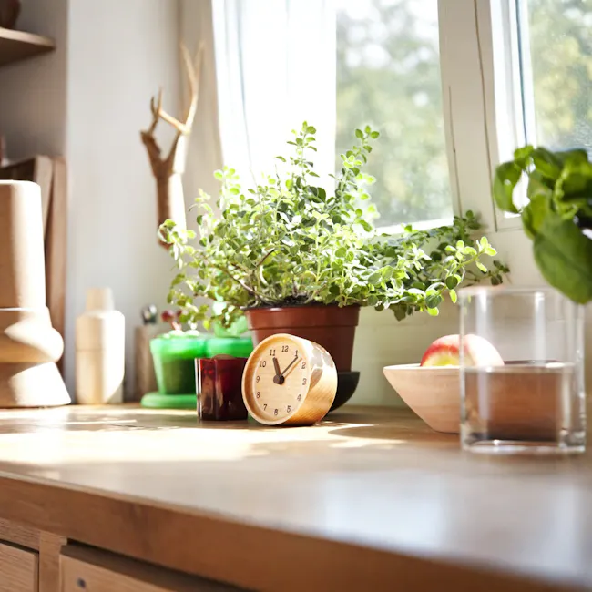 MUKU Table Clock - Beech - 4 - Wooden potted plant, green leaves, sunlight, natural light, indoor setting, wooden clock