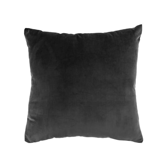 Alyssa Velvet Cushion Cover - Grey - 0