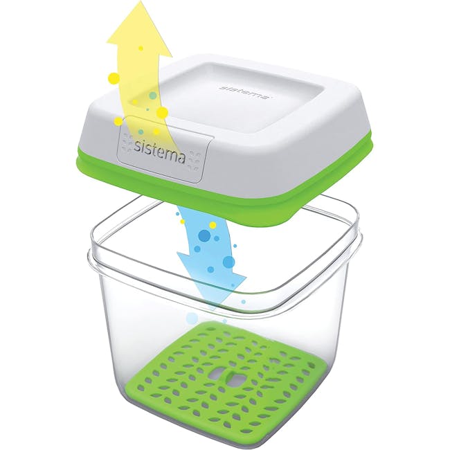 Sistema Freshworks Rectangle Container - 4