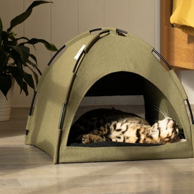 FURRYTAIL Little Glamper Tent - Khaki - 2