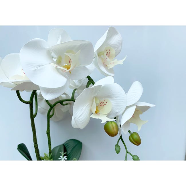 Faux Orchid in Ceramic Pot - 2