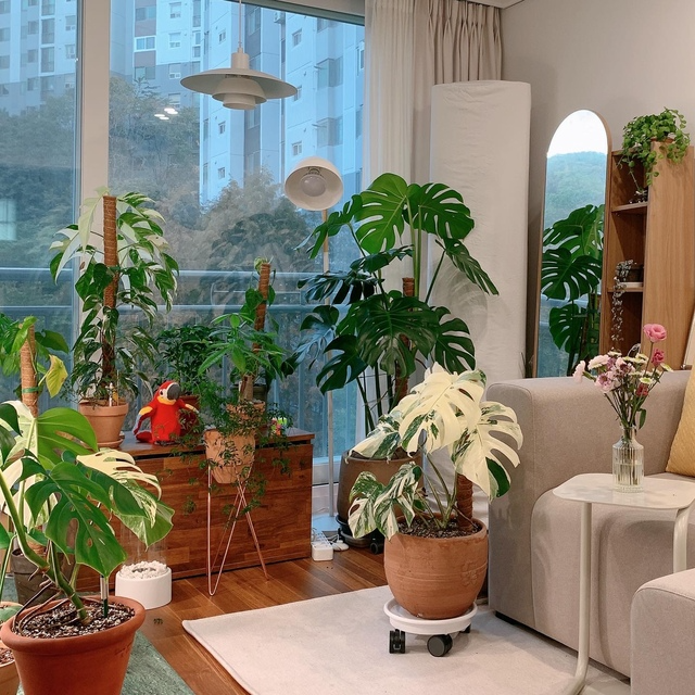 Customer home photo 13