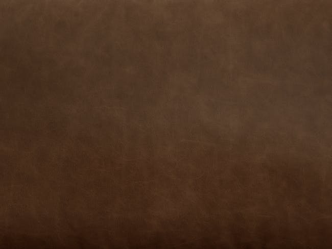 Nolan 3 Seater Sofa - Mocha Brown (Premium Aniline Leather) - 8