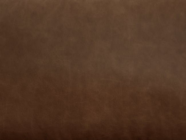 Nolan 3 Seater Sofa - Mocha Brown (Premium Aniline Leather) - 9