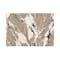 Play High Pile Rug - Taupe Marble (2 Sizes)