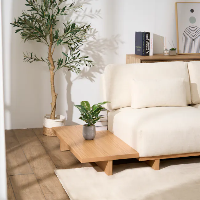 (As-is) Miu Low Coffee Table - 1 - 24