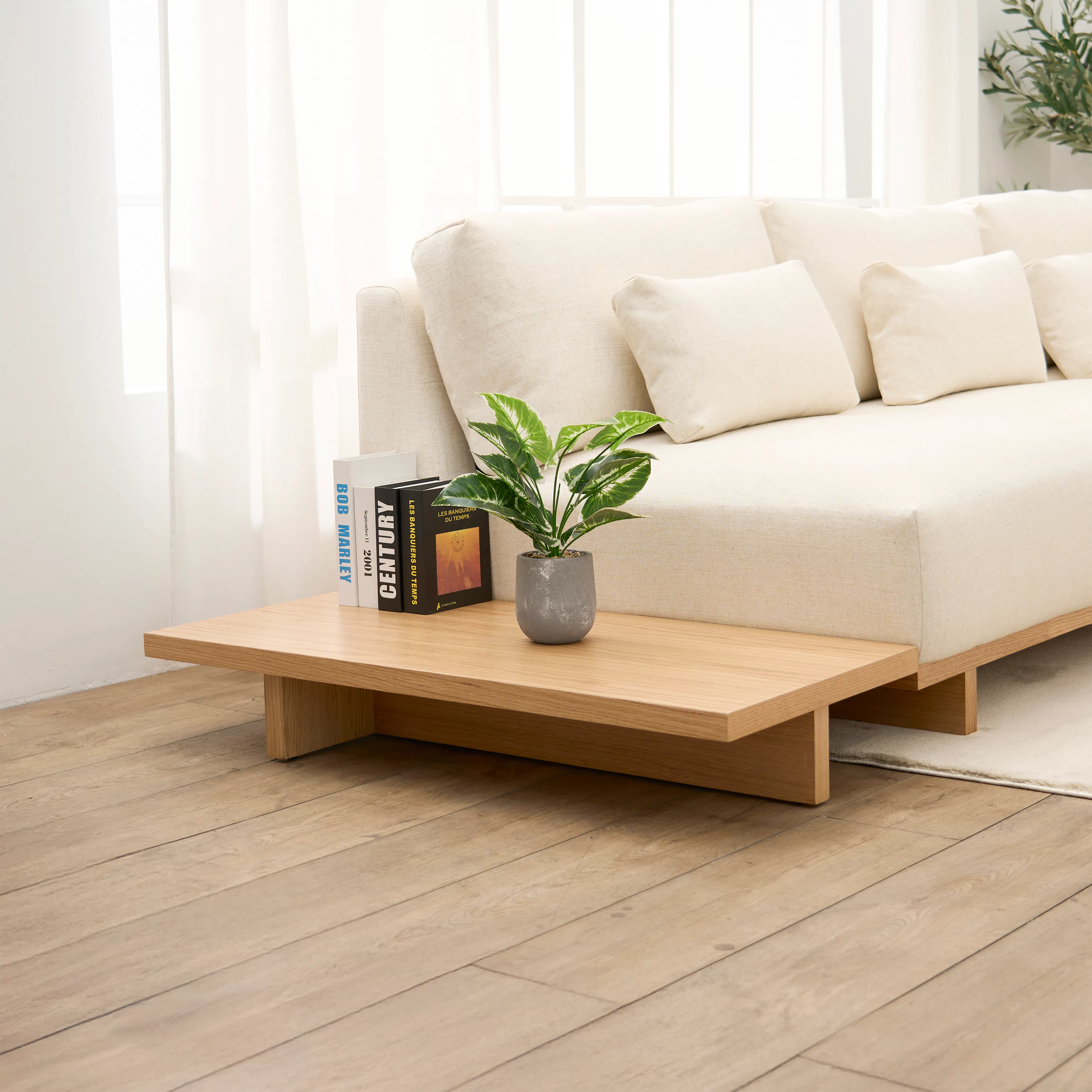 (As-is) Miu Low Coffee Table - 2 - 9