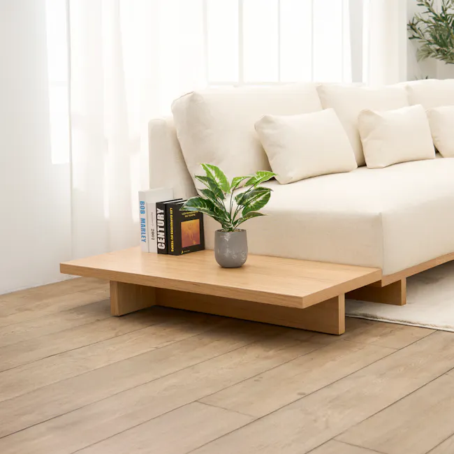 (As-is) Miu Low Coffee Table - 3 - 11