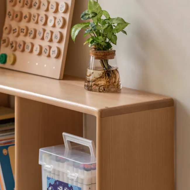 Howy 2 Tier Wooden Kids Open Bookshelf - 5 - Wooden desk, plant in glass jar, indoor plant, green leaves, indoor greenery