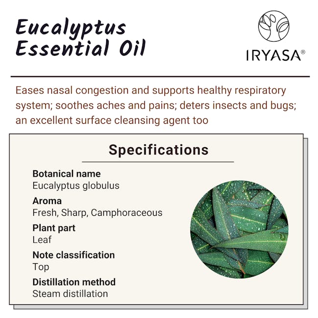 Iryasa Organic Eucalyptus Essential Oil - 6