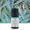 Iryasa Organic Eucalyptus Essential Oil - 4