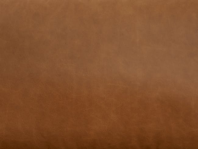 Nolan L-Shaped Sofa - Penny Brown (Premium Aniline Leather) - 9