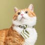 Pidan Cat Neckties (6 Designs) - 7