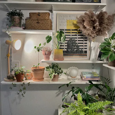 Customer home photo 1