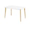 Harold Dining Table 1.2m in White with 4 Harold Dining Chairs in White - 1