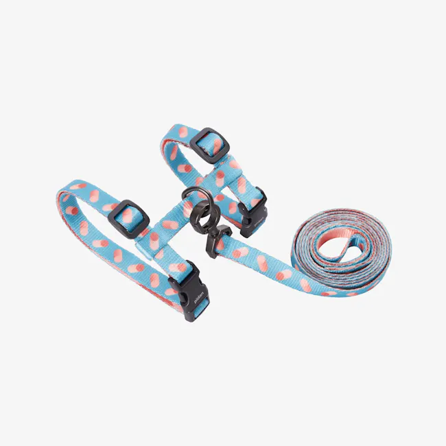 Pidan Cat Harness with Matching Leash - Dotty - 4 - - Blue pet harness with pink polka dots, black buckle, and adjustable