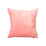 Pfeiffer Beach Throw Cushion (Textured) - Punch Pink - 0