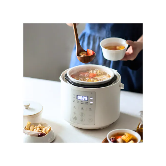 MORRIES 2L Intelligent Pressure Cooker - 2