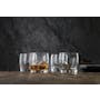 Nachtmann Vivendi Premium Lead Free Crystal Whisky Tumbler 4pcs Set - 1