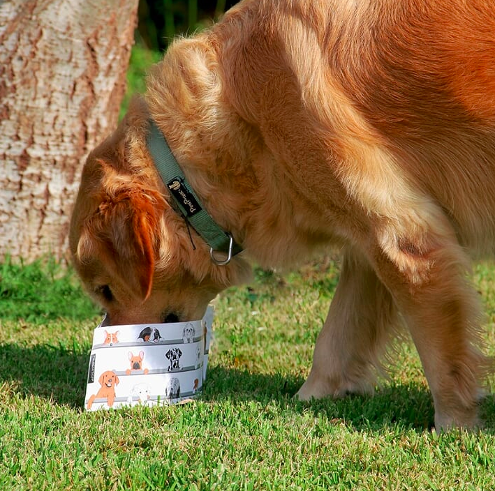 dog travel bowl set