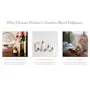 Pristine Aroma Reed Diffuser 50ml - Lavender (Garden Scent) - 7