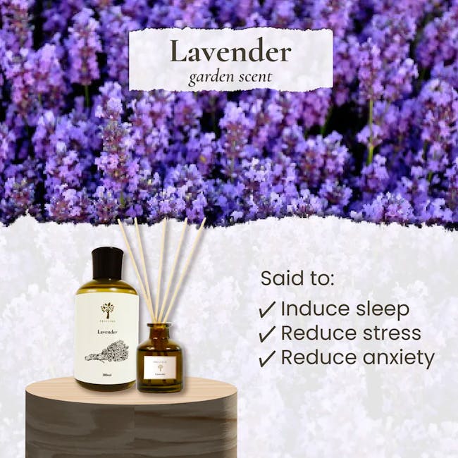 Pristine Aroma Reed Diffuser 50ml - Lavender (Garden Scent) - 1