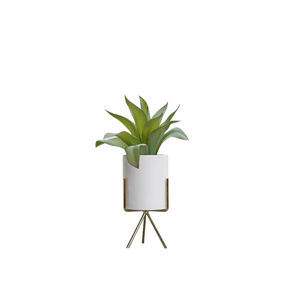 (Showroom Piece) Faux Agave with Planter on Stand 28 cm - White, Brass Legs