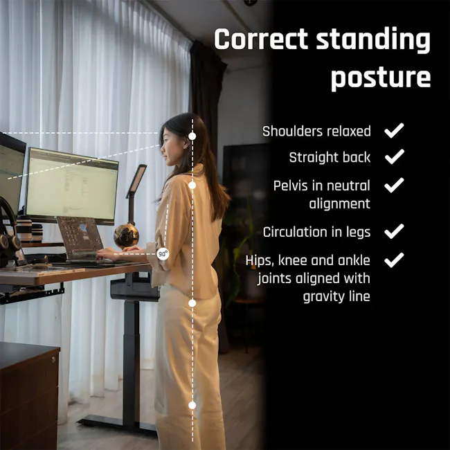 Signature Standing Desk 1.8m - White, Maple Ivory - 2