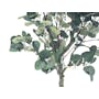 Potted Faux Eucalyptus Tree 160 cm - 2