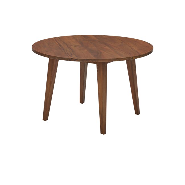 Hudson Round Dining Table 1.2m - Cocoa (Reclaimed Teak) - 2