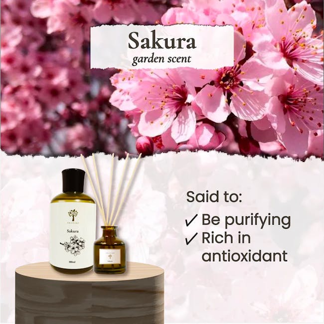 Pristine Aroma  Reed Diffuser 50ml - Sakura (Garden Scent) - 1