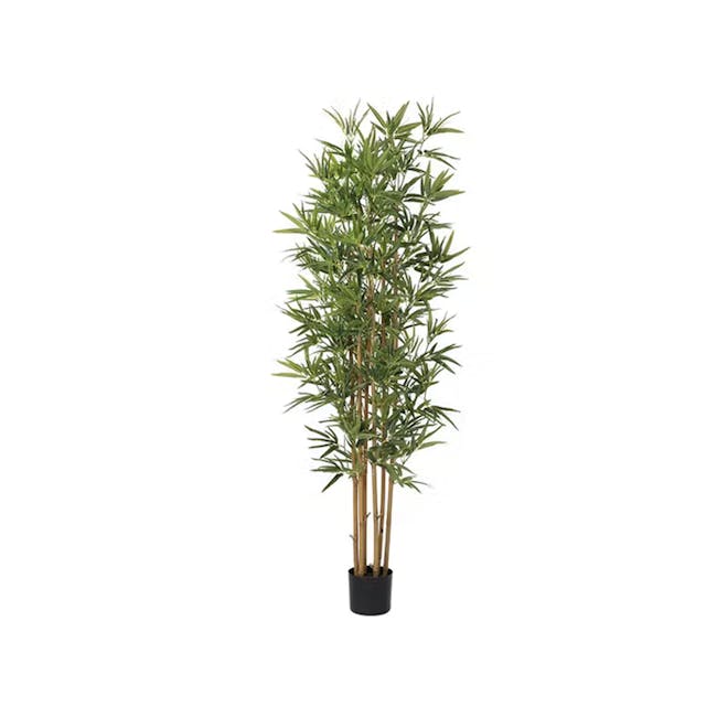 Potted Faux Bamboo Tree 180 cm - 0