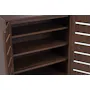 Issoria 2 Door Shoe Cabinet - 7