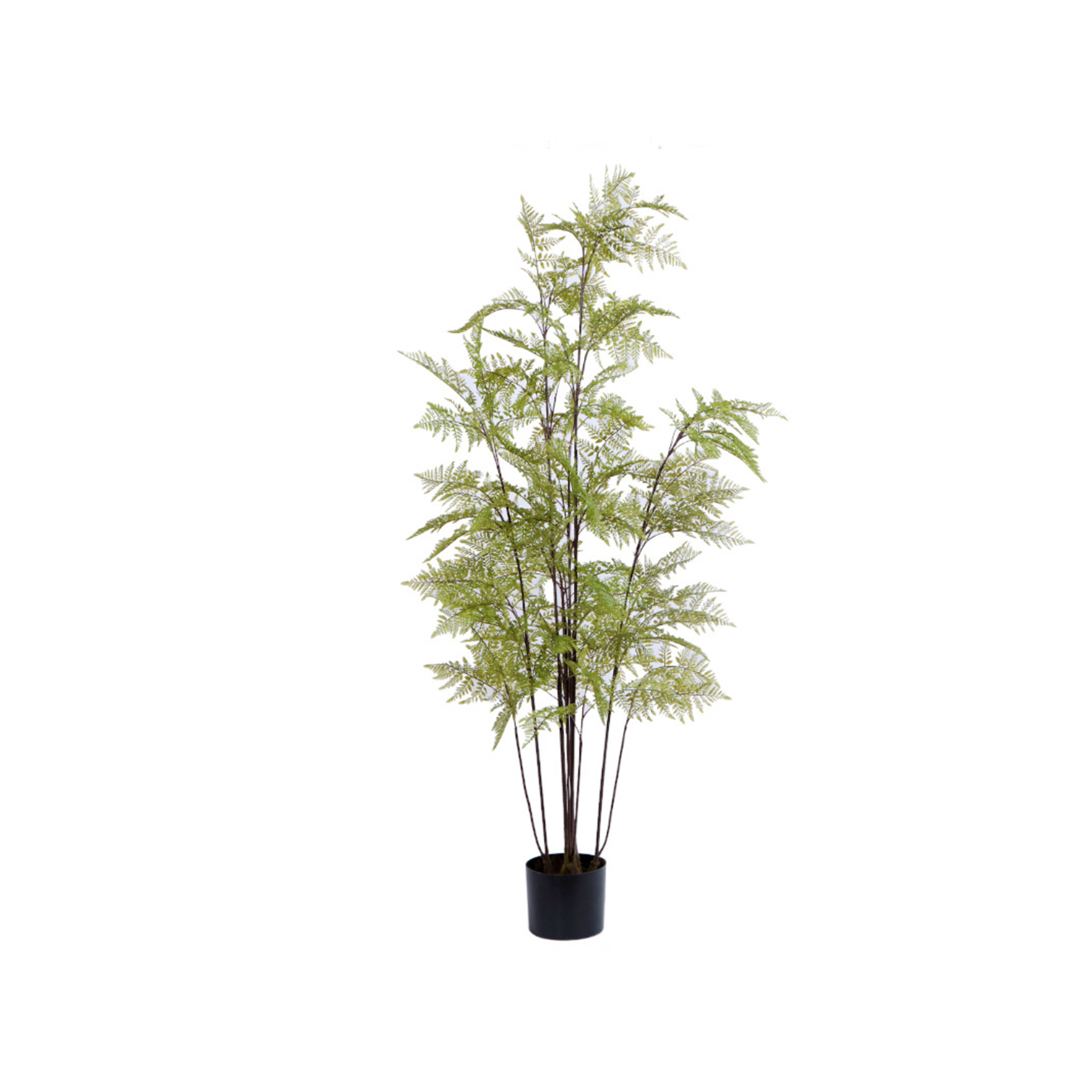 Potted Faux Fern Tree 160 cm