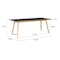 Tyrus Dining Table 2m - 3