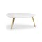 Sienna Marble Coffee Table - White, Gold