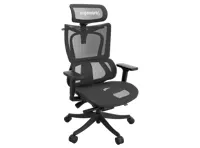 Truly Perfect Chair V2 - Black