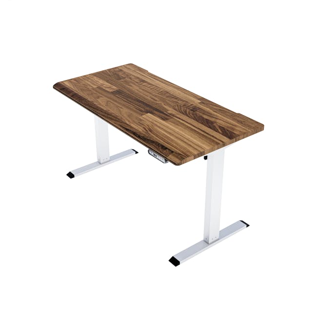 X1 Adjustable Table - White frame, Solidwood Butcher Walnut (2 Sizes) - 1