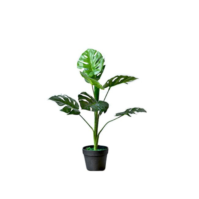 Potted Faux Monstera Tree 70 cm - Small - 0